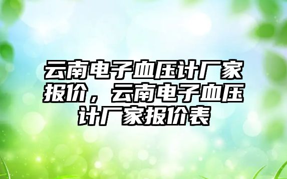 云南電子血壓計廠家報價，云南電子血壓計廠家報價表